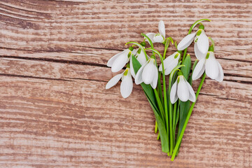 bouquet of snowdrops on wooden background with copy space. first spring flowers