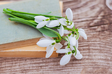 Obraz na płótnie Canvas closeup bouquet of white spring snowdrops lies on old book on a rustic wooden table