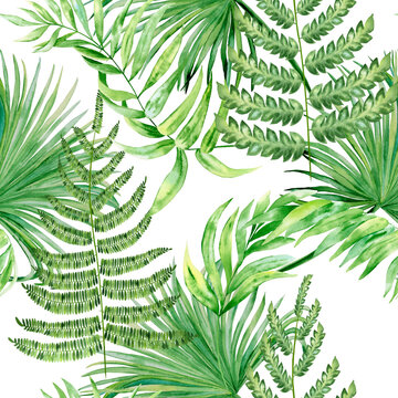 Watercolor seamless pattern with tropical green leaves and fern. Hand drawn jungle palm foliage isolated on white background. Exotic backdrop. Summer fabric. Wrapping paper. Wallpaper design.