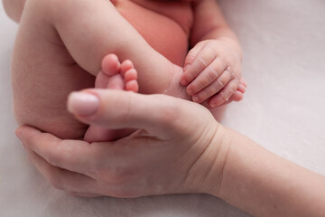 Obraz na płótnie Canvas Little newborn baby fingers birth concept on white background