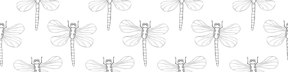 Vector seamless pattern of black outline cute dragonflies in Doodle style. Glade, forest edge. Background and texture on theme of nature, spring, summer, children print, isolated