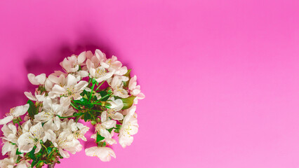 Spring card for Mother's Day, Women's Day. Greeting card with copy space Congratulations on wedding or anniversary. March 8