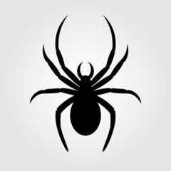 Spider icon isolated on white background. Vector illustration