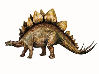 Stegosaurus, herbivore dinosaur - obrazy, fototapety, plakaty