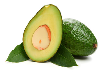 Avocado on a white background