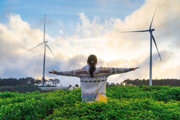 Happy woman holds her hand in a tea hill at Cau Dat, Dalat, Vietnam, morning scenery on the...