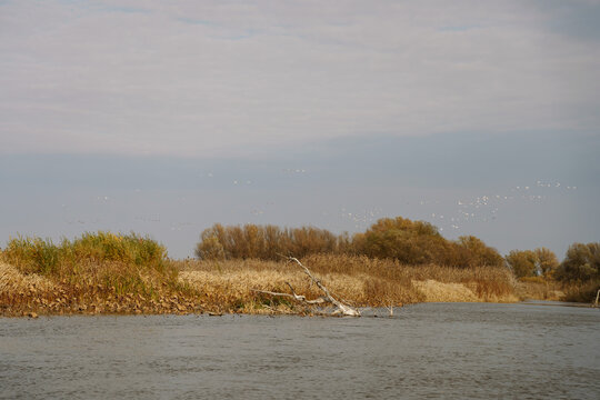 Volga, Delta Of River