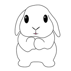 hand draw cute chubby holland lop bunny standing and begging outline vector