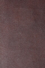 the texture of natural aniline leather of the highest quality of dressing
