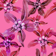Pink purple tropical fruits with leaves watercolor on pink background seamless pattern.