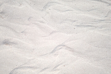 Sea beach sand texture background