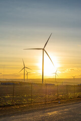 Wind turbine farm and agricultural fields on a summer day. Wind electricity generator in sunset sky, power plant, wind efficiency.