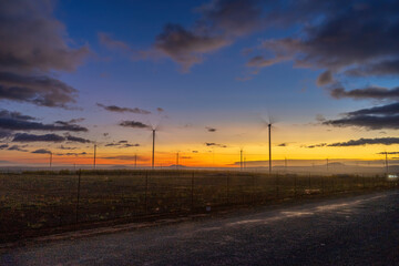 Wind turbine farm and agricultural fields on a summer day. Wind electricity generator in sunset sky, power plant, wind efficiency.