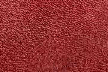 the texture of natural aniline calfskin of the highest quality