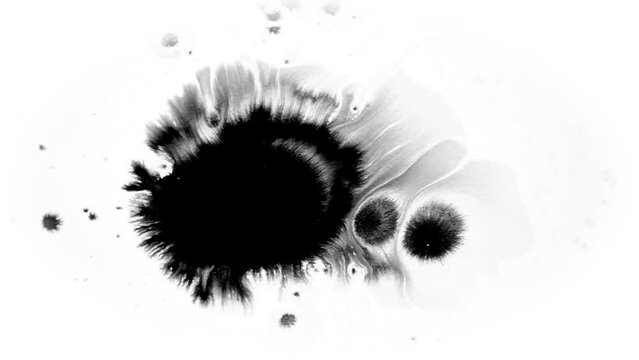 Organic Ink Drop on White Background