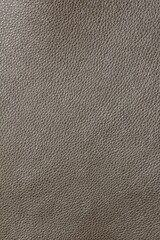 the texture of natural aniline calfskin of the highest quality