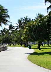 Fototapeta na wymiar Park am Atlantik in Miami Beach, Florida