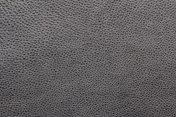 the texture of natural aniline calfskin of the highest quality