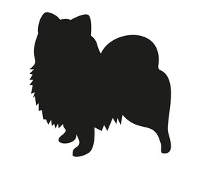 Pomeranian Pomeranian black silhouette outline of a standing dog