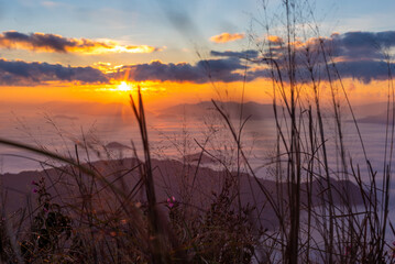 Sunrise over Sea of Mist 