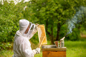Beekeeping concept, beekeeper looks after bees, the bees checks, checks honey, beekeeper exploring...