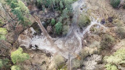 spider on the ground © Patryk