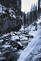 Breitachklamm - Breitach river in a winter landscape with snow and ice