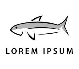 Fototapeta premium Web