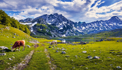 Mountain lake nature landscape.