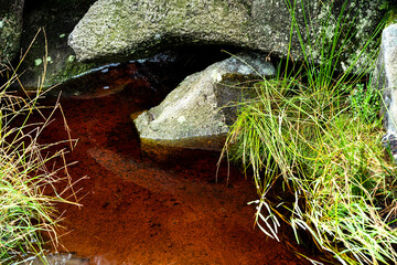 Abbegraben im Torfhausmoor im Harz