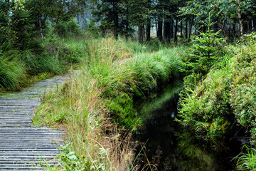 Bohlenweg am Abbegraben im Torfhausmoor im Harz