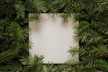 Fototapeta na wymiar pine fir branch frame on white background