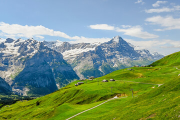 Fototapeta premium Grindelwald, Eiger, Eigernordwand, Schreckhorn, First, Wanderweg, Unterer Grindelwaldgletscher, Kleine Scheidegg, Wanderweg, Schreckfeld, Berner Oberland, Alpen, Sommer, Schweiz 