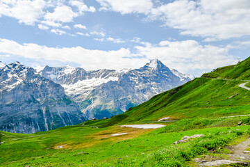 Obraz premium Grindelwald, Eiger, Eigernordwand, Schreckhorn, First, Wanderweg, Unterer Grindelwaldgletscher, Kleine Scheidegg, Wanderweg, Schreckfeld, Berner Oberland, Alpen, Sommer, Schweiz 
