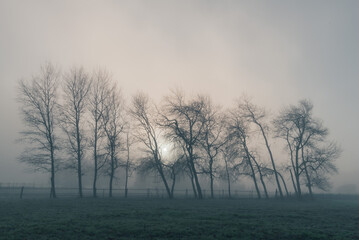 Nebelstimmung über Feldern