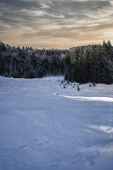 snow covered landscape and forest in winter located near the alps in bavaria germany with a sunrise