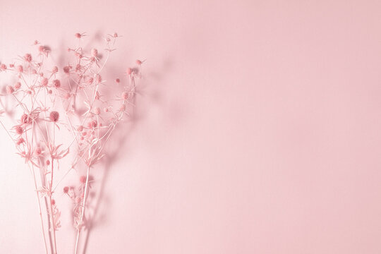 Floral Background Wallpaper Pink Free Stock Photo - Public Domain Pictures