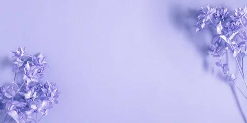 Poster Pantone 2022 very peri Gedroogd gras, takken, bloemen achtergrond. Kleur van het jaar 2022 Very Peri. Pantone-kleur 2022. Plat leggen, bovenaanzicht, kopieerruimte, mockup  © prime1001