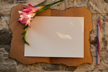 Vintage aesthetic stationery card and paper mock up for invitation or congratulations. Decorations of pink freesia flower. Feminine concept. Sunset light with shadows, vintage style. Copy space