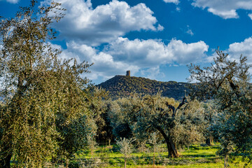 Obraz premium Landscape of the Tuscan countryside with the Torre di Donoratico in the background Tuscany Italy