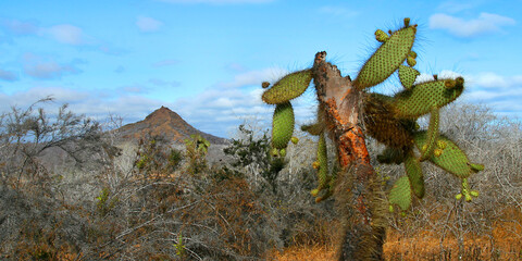 Galápagos Islands Landscape, Galápagos National Park, UNESCO World Heritage Site, Pacific Ocean, Ecuador, America