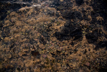 texture of stone