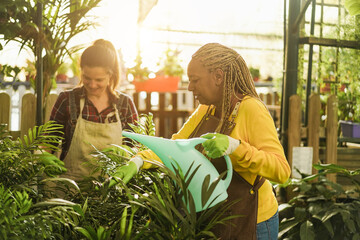 Obraz premium Women working inside greenhouse garden - Nursery and spring concept - Focus on African female face