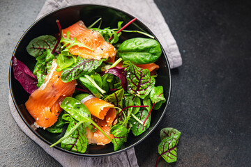 salmon salad boiled egg, green leaves lettuce fresh meal food diet snack on the table copy space food background 