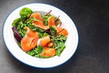 salmon salad boiled egg, green leaves lettuce fresh meal food diet snack on the table copy space food background 
