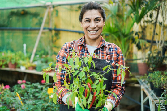 Happy latin woman working inside greenhouse garden holding chilli plant - Nursery and spring concept - Focus on face