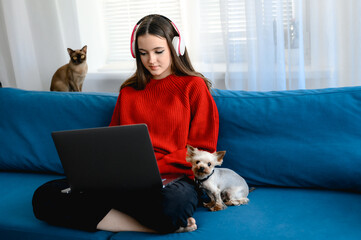 a young girl in a red knitted sweater works on a laptop at home. her cat and dog are sitting next to her