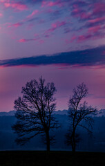 Fototapeta na wymiar sunset with two trees 