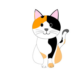 A tortoiseshell cat with a white background 
