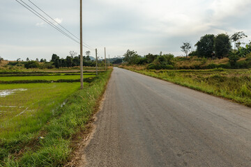 Fototapeta na wymiar Asphalt road along rice fields in Laos, Vientiane Province